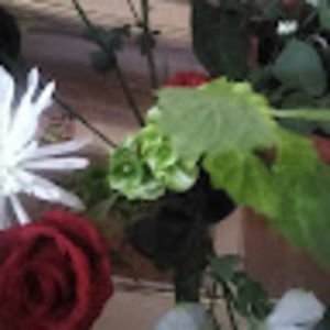 Meet your Posher, Jamilagirl22